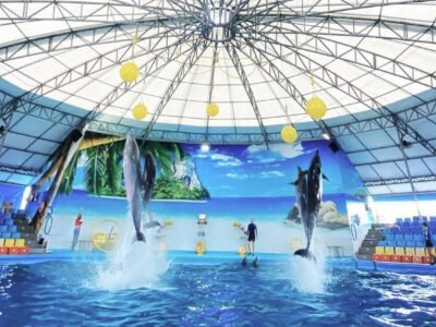 Delfin show Hurghada